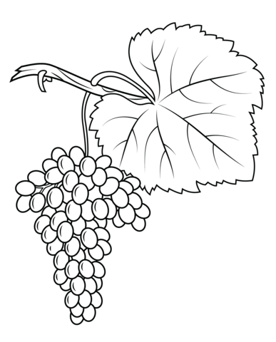 Fiano Grapes Coloring Page